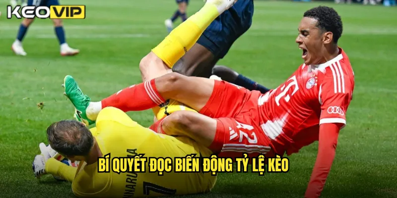 Bí Quyết Đọc Biến Động Tỷ Lệ Kèo